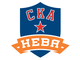 team logo