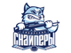 team logo