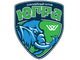 team logo