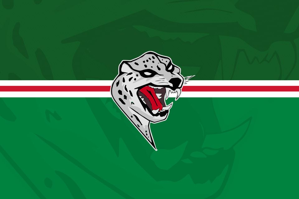 Ак барса рисунок
