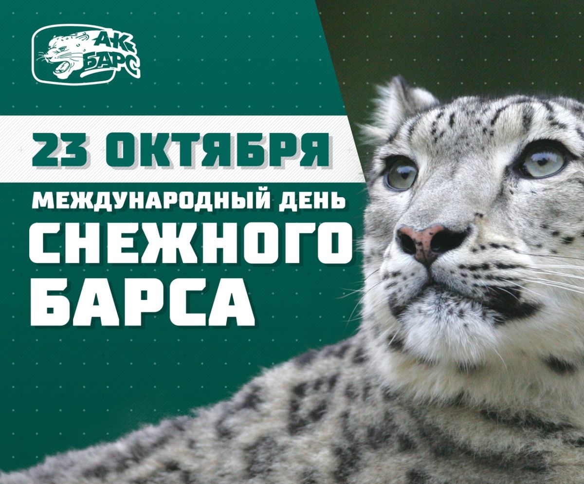 Каталог Магазина Снежный Барс Каталог Магазина Снежный Барс